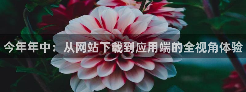 开心彩kgame：今年年中：从网站下载到应用端的全视角体验