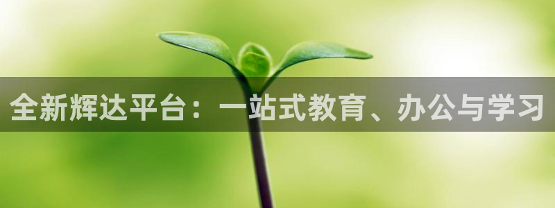 开心彩平台总代理：全新辉达平台：一站式教育、办公与学习