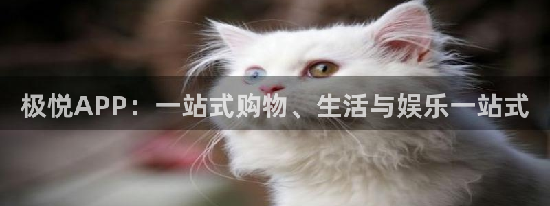 开心彩：极悦APP：一站式购物、生活与娱乐一站式
