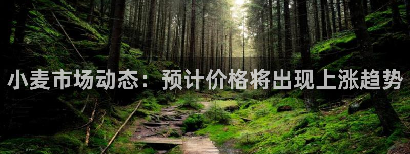 开心彩招商：小麦市场动态：预计价格将出现上涨趋势