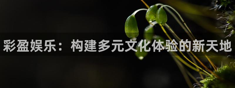 开心彩代理：彩盈娱乐：构建多元文化体验的新天地