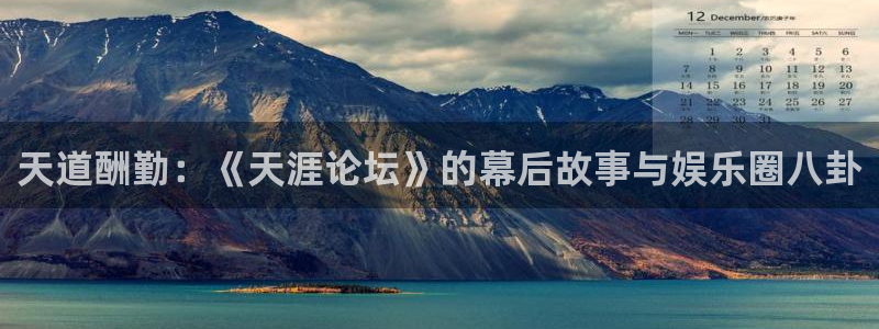 开心彩4：天道酬勤：《天涯论坛》的幕后故事与娱乐圈八卦