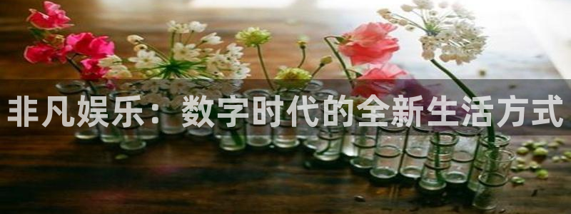 开心彩登录：非凡娱乐：数字时代的全新生活方式