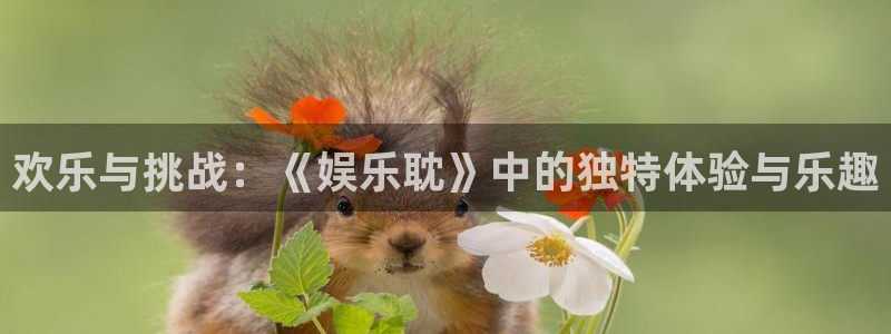 开心彩4官网：欢乐与挑战：《娱乐耽》中的独特体验与乐趣