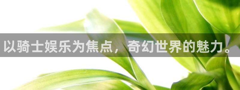 开心彩集团