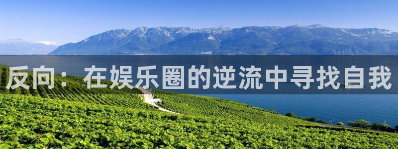 开心彩平台开户链接
