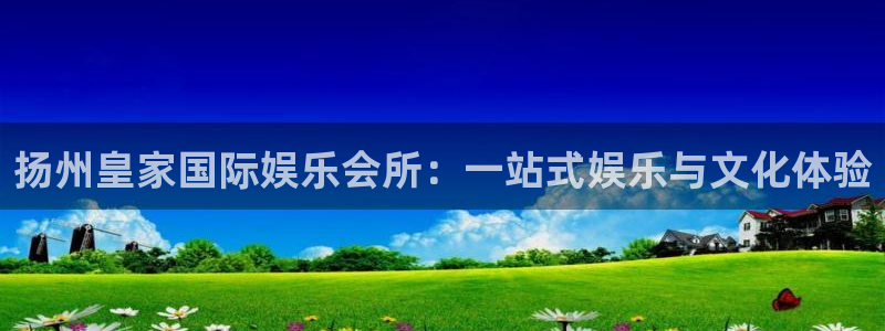上海开心彩汽车电子有限公司