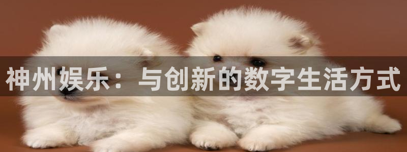 开心彩平台开户：神州娱乐：与创新的数字生活方式