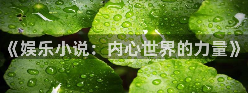 开心彩平台开户链接：《娱乐小说：内心世界的力量》