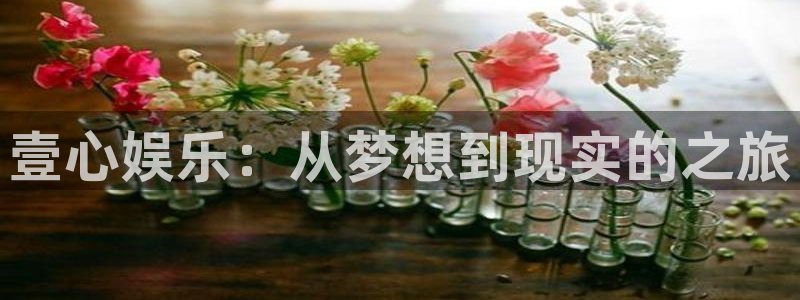 开心彩招商：壹心娱乐：从梦想到现实的之旅
