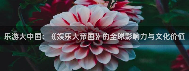 开心彩零能源集团