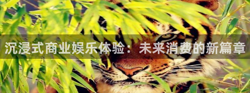 开心彩集团：沉浸式商业娱乐体验：未来消费的新篇章
